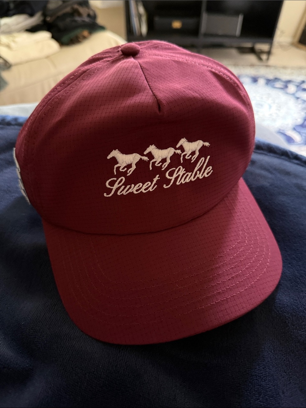 Sweet Stable Burgundy Hat
